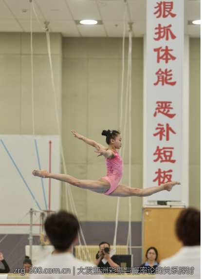 大发亚洲彩票与概率论的关系探讨