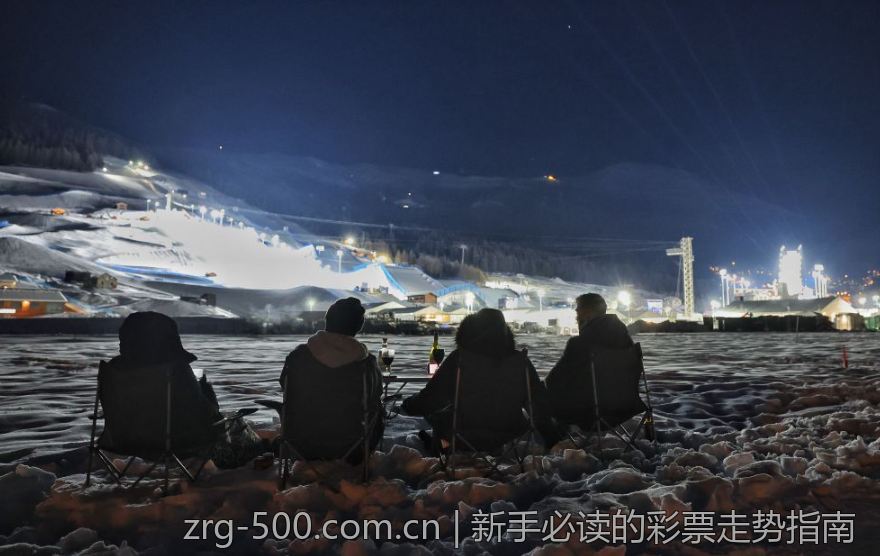 新手必读的彩票走势指南