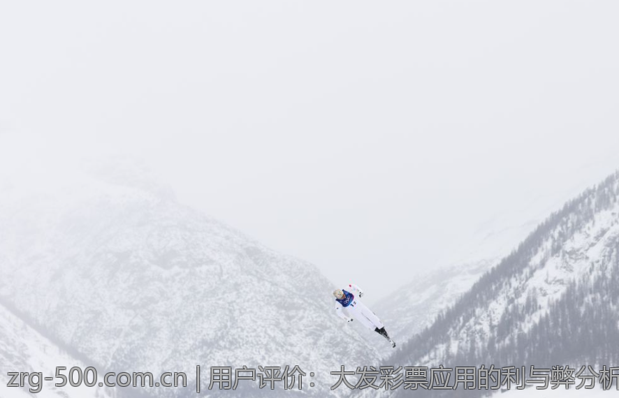 用户评价：大发彩票应用的利与弊分析
