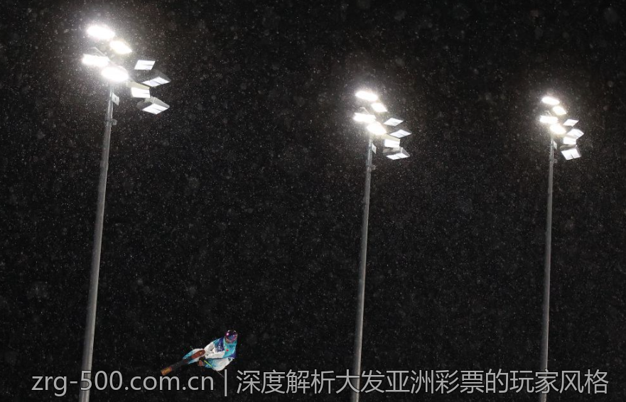 深度解析大发亚洲彩票的玩家风格